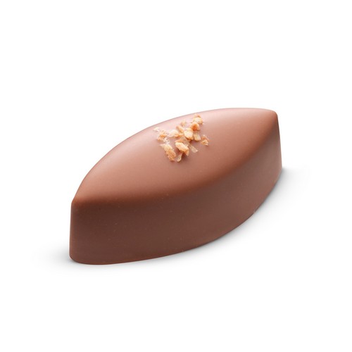 Kokosnoot (callison coconut melk)